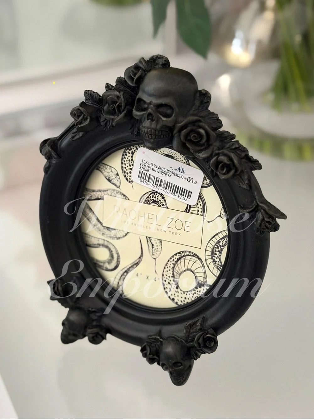NWOT gothic Skulls Roses Black Rachel Zoe Round Picture Frame 4x4 vintage style